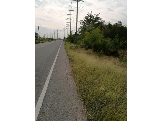 PK334ขายที่ดิน อ.สีคิ้ว ขนาด 19ไร่ 2งาน 45ตรว. (ราคาไร่ละ 1. 5ล้านบาท /เอกสารโฉนด) ติดถนน 2 เลน หน้ากว้างประมาณ 125