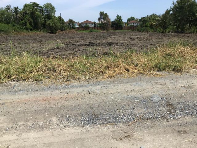 PK347ขายที่ดินเขตบางขุนเทียน3ไร่ 247วาหน้ากว้างประมาณ53เมตร ลีก ยาว ประมาณ 110 เมตร ติดถนน 16 เมตร ด้านหลัง ของที่ดินติด