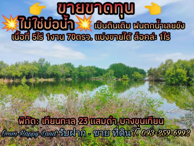 ไม่ใช่บ่อน้ำนะครับ เป็นดินเดิม ขายทั้งยกแปลง และแยก