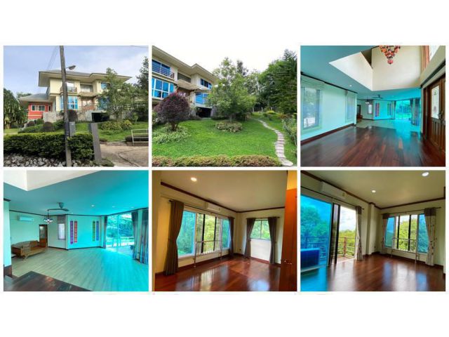 ขายด่วน บ้านสวยพร้อมที่ดิน ที่เขาค้อ เพชรบรูณ์ มีโฉนด บรรยากาศป่าไม้ที่เงียบสงบ