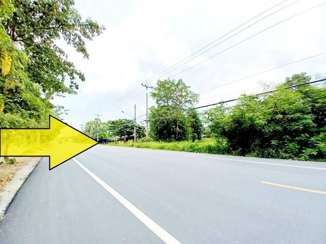 ขายที่ดินติดถนนลาดยาง หนองเสือ คลอง 10