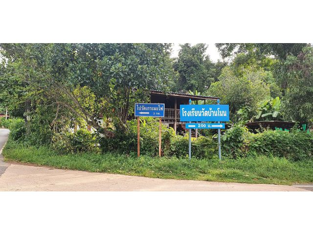 ติดถนนคอนกรีต สูงเสมอถนน ไม่ต้องถม ที่สวยอยู่ในหมู่บ้าน เนื้อที่ 1 ไร่
