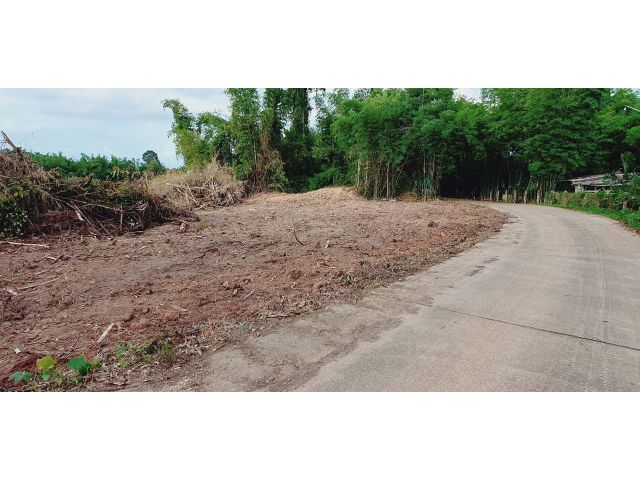 ติดถนนคอนกรีต สูงเสมอถนน ไม่ต้องถม ที่สวยอยู่ในหมู่บ้าน เนื้อที่ 1 ไร่
