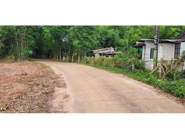 ติดถนนคอนกรีต สูงเสมอถนน ไม่ต้องถม ที่สวยอยู่ในหมู่บ้าน เนื้อที่ 1 ไร่