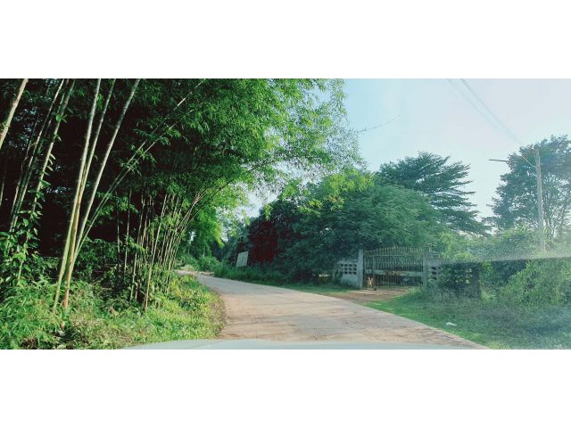 ติดถนนคอนกรีต สูงเสมอถนน ไม่ต้องถม ที่สวยอยู่ในหมู่บ้าน เนื้อที่ 1 ไร่