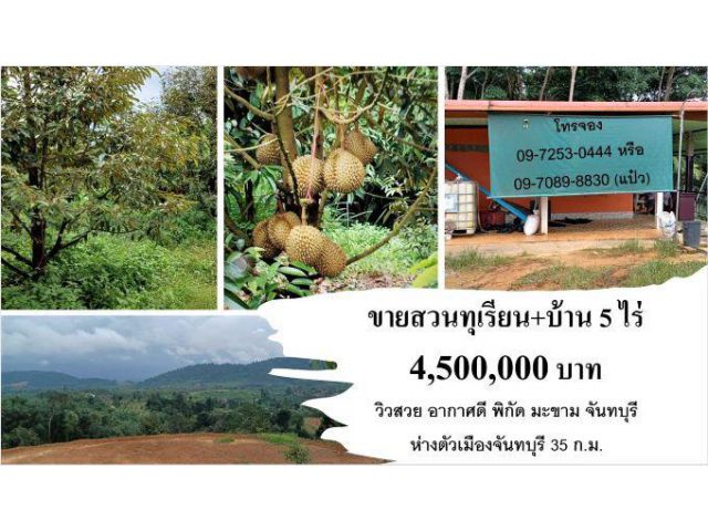 ขายสวนทุเรียนพร้อมบ้าน จันทบุรี