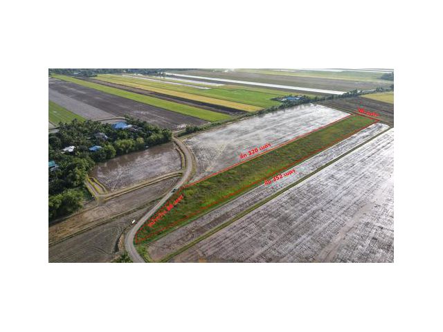 S1380ขายที่ดินที่ บางน้ำเปรี้ยว  จ.ฉะเชิงเทราแปลงสวย ใกล้แหล่งชุมชนติดถนนลาดยาง คุณเอ็ม 097-414-6165