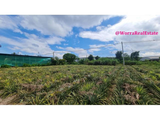 ที่ดินสวย ขนาด 7 ไร่ 0.4 ตรว. ซ.6 นิคมพัฒนา ระยอง ขนาด 7 ไร่ 0.4 ตรว.