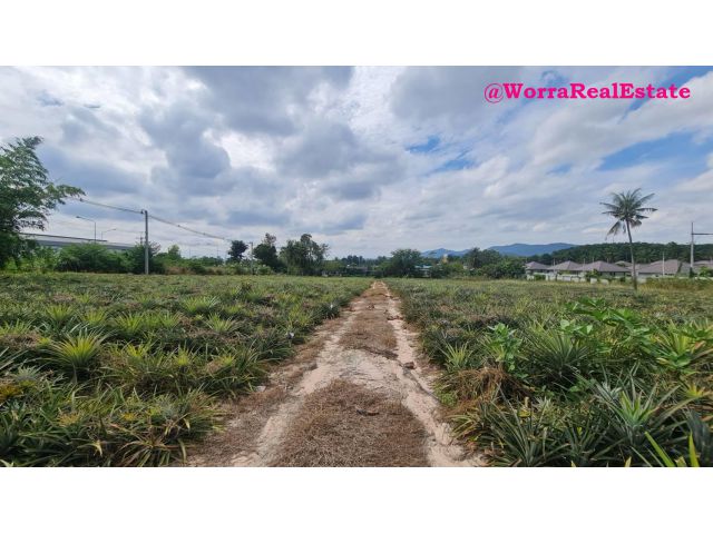 ที่ดินสวย ขนาด 7 ไร่ 0.4 ตรว. ซ.6 นิคมพัฒนา ระยอง ขนาด 7 ไร่ 0.4 ตรว.