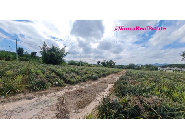 ที่ดินสวย ขนาด 7 ไร่ 0.4 ตรว. ซ.6 นิคมพัฒนา ระยอง ขนาด 7 ไร่ 0.4 ตรว.