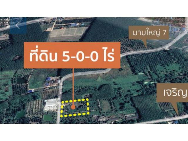 PK363ขายที่ดินแปลงสวย5ไร่อ.แกลงหน้ากว้างติดถนน85เมตรลึก95 เมตร  ตั้งอยู่ในซอยเจริญสุข ใกล้สุขุมวิท ใกล้เลี่ยงเมือง
