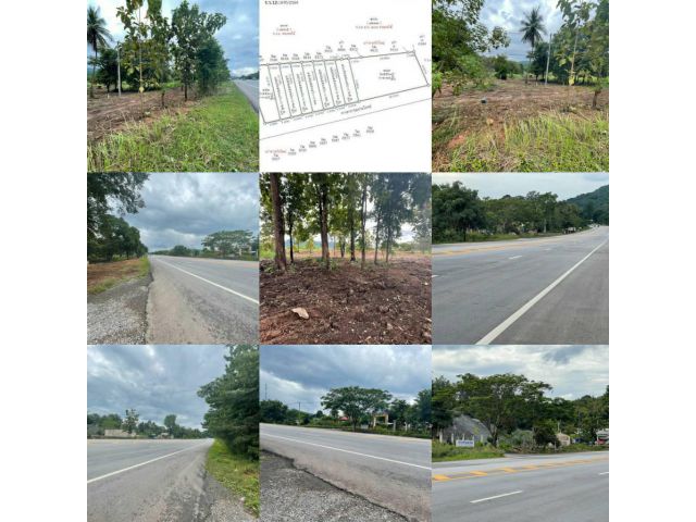 ขาย ที่ดินเปล่า 9 ไร่ (แบ่งขาย) อำเภอวังทอง พิษณุโลก