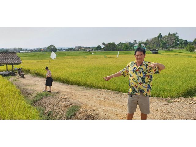 ขายที่ดิน ยกแปลง ทำเลดีมาก เป็นจุดศูนย์กลาง แหล่งท่องเที่ยว เชียงใหม่ เชียงราย ลำปาง เจ้าของขายเอง