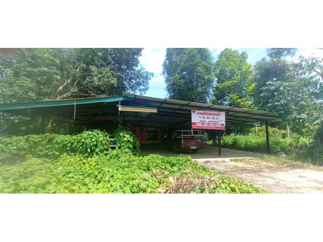 ขายด่วนที่ดินพร้อมสิ่งปลูกสร้าง1ไร่48.5ตร.ว กระบี่