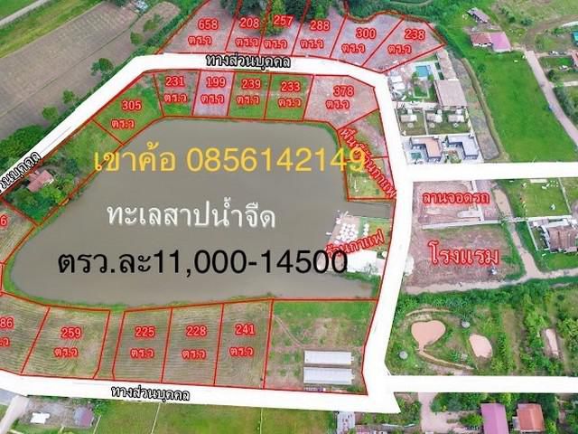 ขายด่วน ที่ดินโฉนด พร้อมโอน ที่เขาค้อ