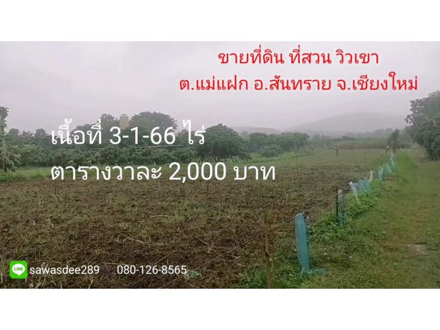 ขายที่ดินสันทราย ในแหล่งชุมชน เหมาะสร้างบ้าน ทำสวน เนื้อที่ 3-1-66 ไร่ ตารางวาละ 2,000บ.