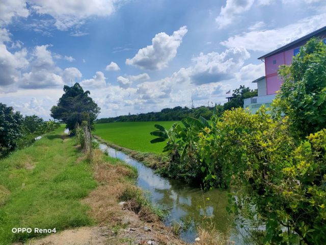 ขายด่วนๆ️ขายถูก️ที่ดินเนื้อที่ 16ไร่ ตร.ว.ติดถนนหลัก