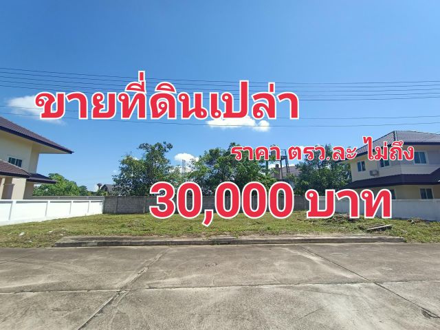 ขายที่ดินเปล่า ในโครงบ้านคัทลียา หนองจ๊อม สันทราย เชียงใหม่