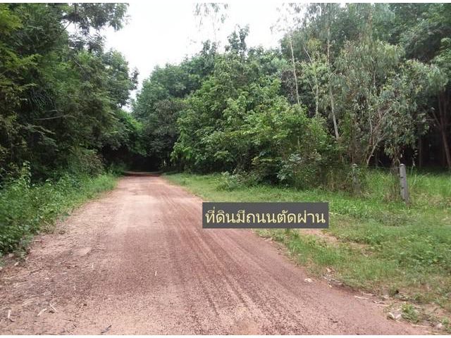 ที่ดินสวยติดลำโดมน้ำ ใกล้แหล่งท่องเที่ยวธรรมชาติ