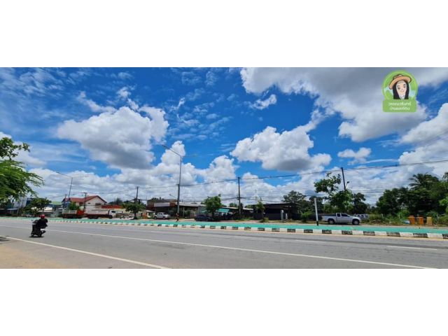 ที่ดินติดถนนแจ้งสนิท/ยโสธร
