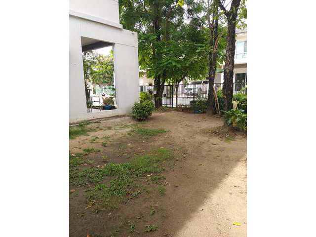 ให้เช่าบ้านเดี่ยว 2 ชั้น หมู่บ้าน สิวลี  บางนา