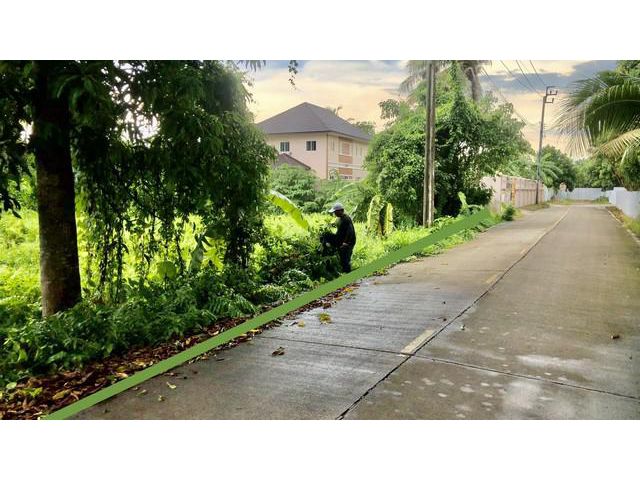 ที่ดินบางกร่างนนทบุรี 1-2-14ไร่ (614ตร.วา)