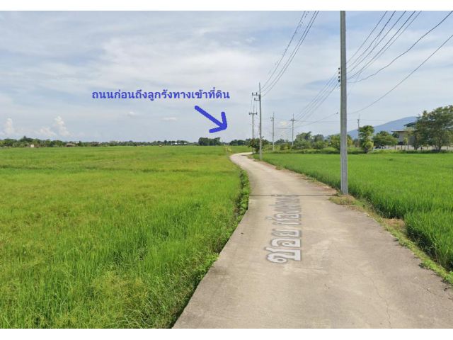 ขายที่ดินแม่ริม ที่นา วิวเขา ต.สันโป่ง อ.แม่ริม จ.เชียงใหม่ เนื้อที่ 5-1-55 ไร่ ไร่ละ 900,000