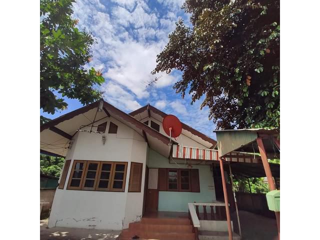S00681 ขายบ้านพร้อมที่ดิน แถวเทศบาลหนองแฝก สารภี