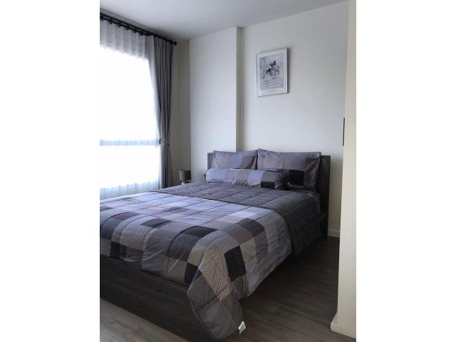 398-CHK ขาย ดี คอนโด พิงค์ Dcondo Ping ฟรีโอน!