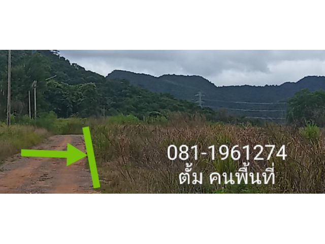 ขายที่ดิน นส3 ก. 9 ไร่ 1 งาน  บนเนิน วิวเขารอบ แถวห้วยมงคล