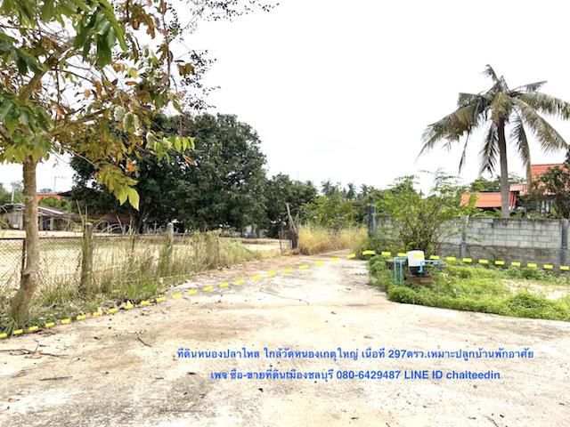 @@ขายที่ดินหนองปลาไหล เนื้อที่ 297ตรว.ใกล้วัดหนองเกตุใหญ่ เหมาะปลูกบ้านพักอาศัย ##