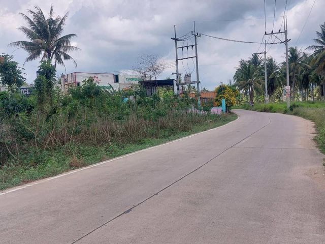 ##ขายที่ดิน 10-2-54ไร่โซนตะเคียนเตี้ย ใกล้ทล.4094 ##
