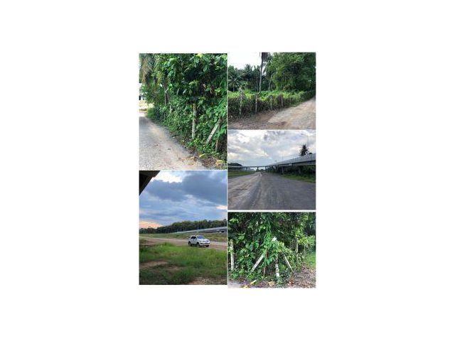 1-3-78ไร่ กลางดงปากช่อง