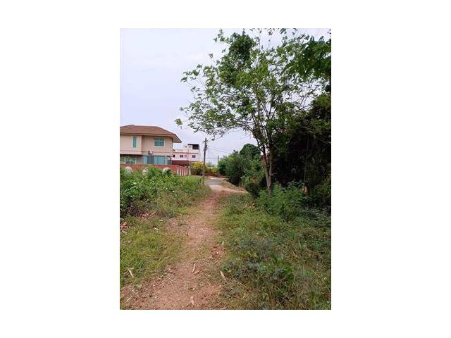 AK170722-03 ที่ดินเปล่า ใจกลางเมืองพนมสารคาม ใกล้ห้างพวงทอง 3 ใกล้ตลาดพนม