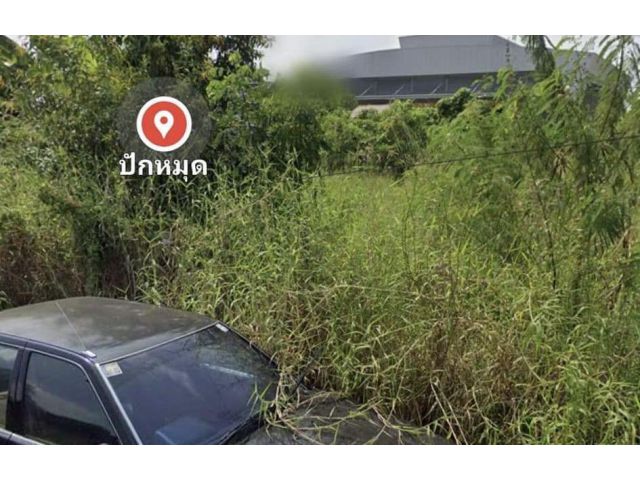 PK382 ขายที่ดินซอยแสงเดือนติดถนนซอยที่ดินสี่เหลี่ยมผืนผ้าที่สวย เนื้อที่ 150 ตรวละ 30,000 บาท