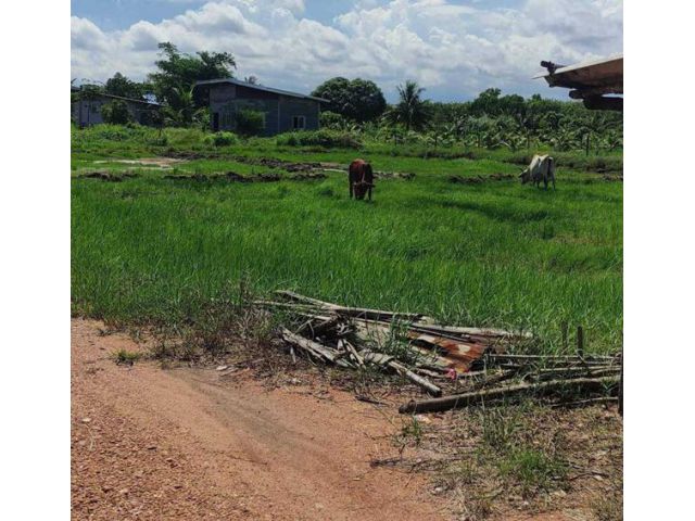 AK170722-07 ขายที่ดิน 4 แปลง ในเขตเทศบาลประแสร์