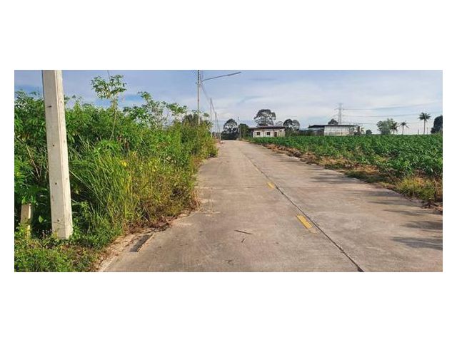 AK180722-01 ขายที่ดินเปล่า 100 ตร.วา พันเสด็จใน บ่อวิน ศรีราชา ชลบุรี