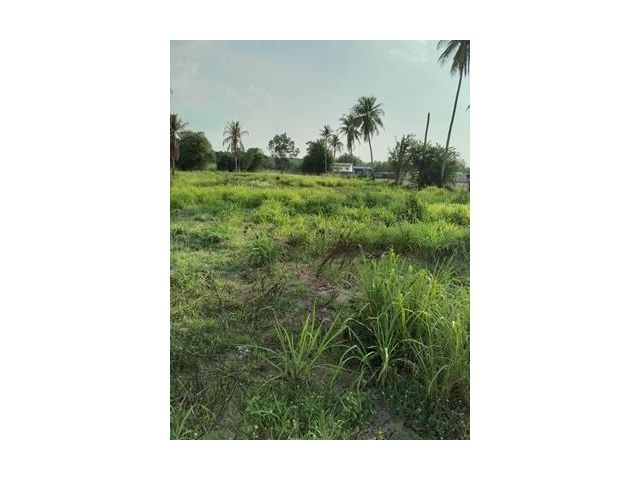 AK280722-02 ขายที่ดิน 3ไร่ ต.บางพระ อ.ศรีราชา จ.ชลบุรี