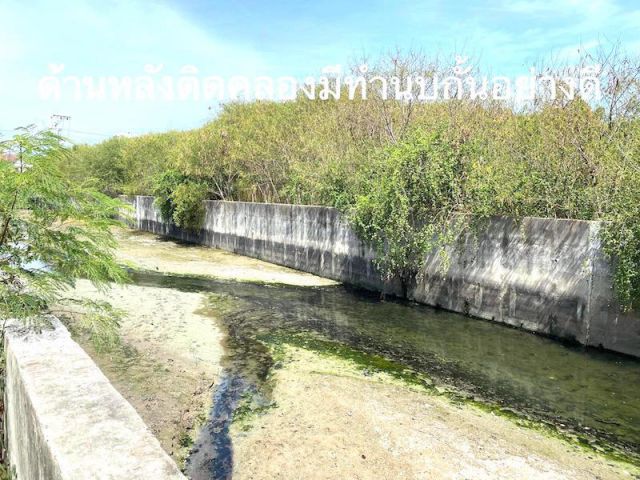@@ขายที่ดินบ้านสวน เมืองชลบุรี เนื้อที่ 1ไร่ 1งาน (500ตรว.)ติดทางสาธารณะ,ติดคลอง ##