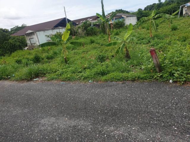 ขายที่ดินบ้านปึก 101ตรว.เหมา 1.7ล้าน ต.บ้านปึก อ.เมือง จ.ชลบุรี