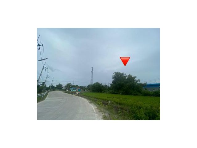 ขายที่ดินเปล่า ในอำเภอลาดหลุมแก้ว 200 ตรว.