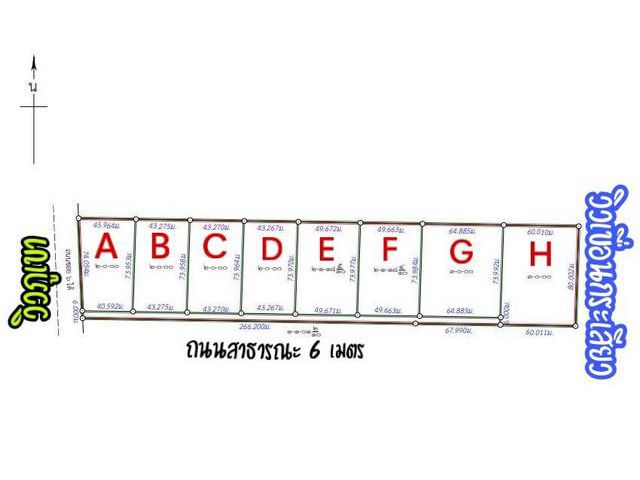 ด่วนเปิดจองที่ดินสด-ผ่อน เมาน์เทนวิวเวอร์ เฟส 1