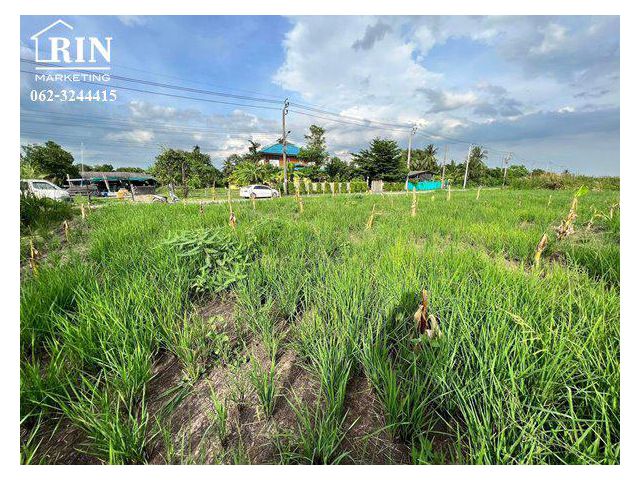 รหัสทรัพย์ : AK020822-04 ขายที่ดิน 200 ตร.ว หนองจอก  เชื่อมสัมพัน ซอย 17 กทม.