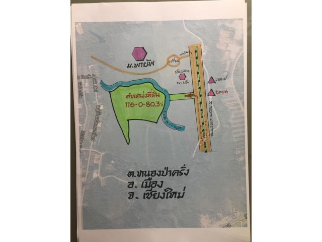 แปลงใหญ่อีกแปลงพื้นที่สีส้มถูกมากเชียงใหม่