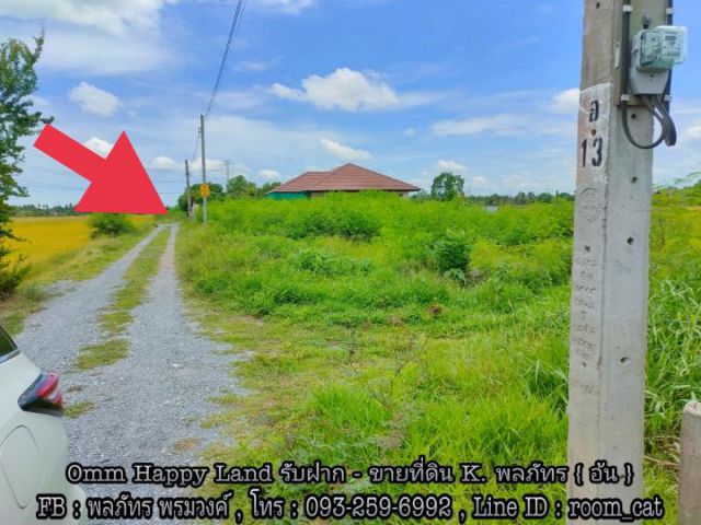 ขายด่วน ที่ดิน 339ตารางวาถนนสาธารณะเหมาะสร้างบ้านโกดังโรงงาน (แบ่งขายได้)