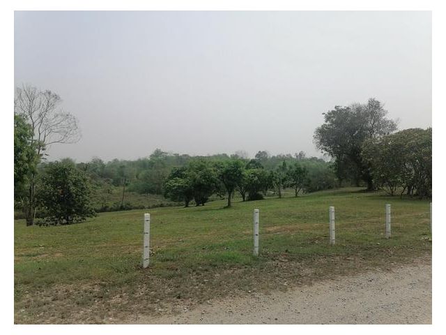 ขายที่ดินแม่ริม ที่เนิน ที่ราบ วิวเขา มีบ่อน้ำในพื้นที่ ต.แม่แรม อ.แม่ริม จ.เชียงใหม่ เนื้อที่ทั้งหมด 12 ไร่ ยกแปลง