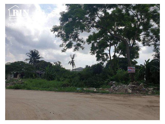 รหัสทรัพย์ : AK060822-02  ขายที่ดิน  4-1-51 ไร่ มหาสวัสดิ์ บางกรวย นนทบุรี
