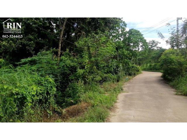 รหัสทรัพย์ : AK100822-03 ขายที่ดิน 7ไร่7ตร.ว บ้านเพ เมืองระยอง