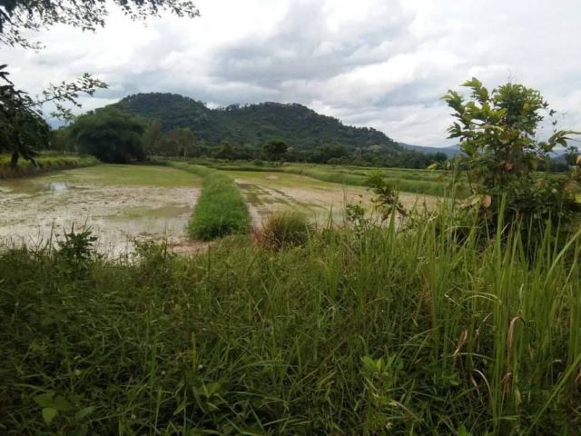 ขายที่ดินเมืองนครนายก 1 ไร่ ถมแล้วติดถนนลาดยาง ใกล้ถนนสุวรรณศร 33 - 6 กม. จ.นครนายก