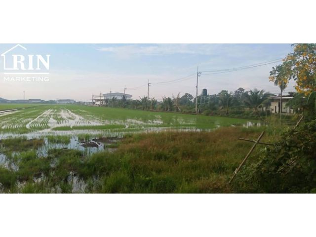 AK140822-01 ขายที่ดิน 16ไร่ เขตคลองอุดมชลจร จ.ฉะเชิงเทรา